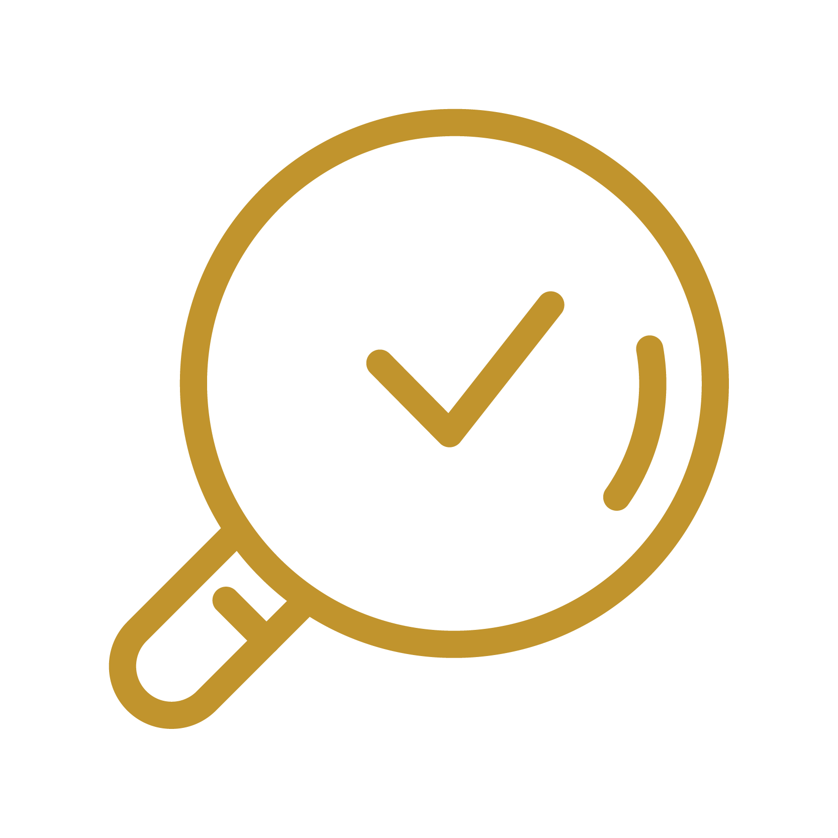 icon magnifying glass with checkmark